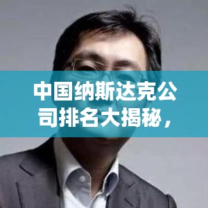中國納斯達(dá)克公司排名大揭秘，深度解析企業(yè)排名榜單