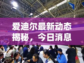 愛迪爾最新動態(tài)揭秘，今日消息引人矚目