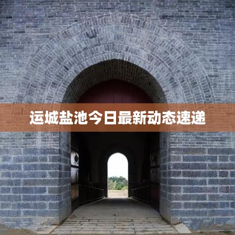 運城鹽池今日最新動態(tài)速遞