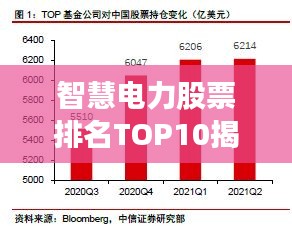智慧電力股票排名TOP10揭秘，行業(yè)巨頭一覽，發(fā)展趨勢(shì)洞悉
