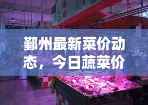 鄞州最新菜價動態(tài)，今日蔬菜價格走勢分析與預測