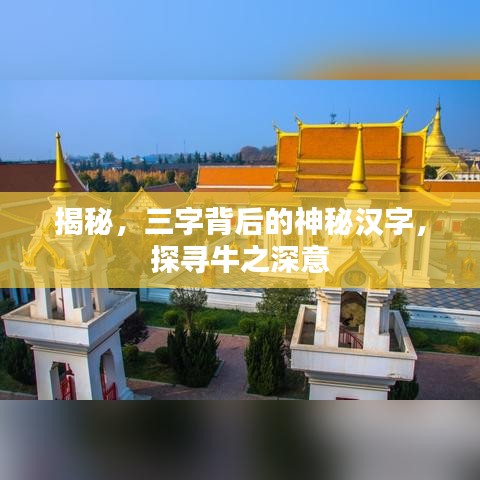 走馬觀花 第2頁