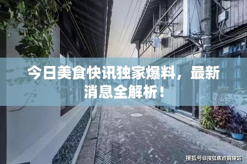 今日美食快訊獨(dú)家爆料，最新消息全解析！