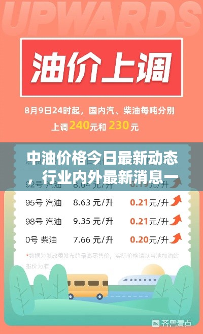 中油價格今日最新動態(tài)，行業(yè)內(nèi)外最新消息一網(wǎng)打盡！