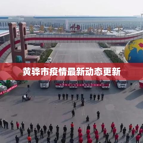 黃驊市疫情最新動(dòng)態(tài)更新