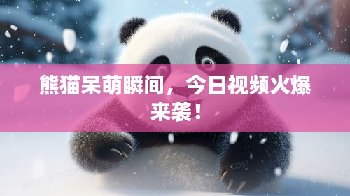 熊貓呆萌瞬間，今日視頻火爆來襲！