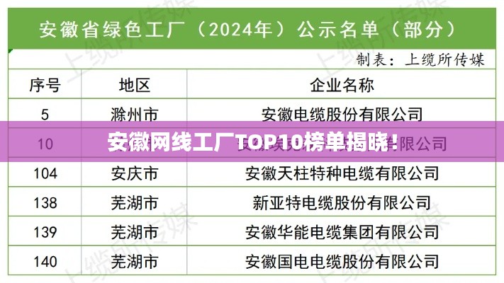 安徽網(wǎng)線工廠TOP10榜單揭曉！