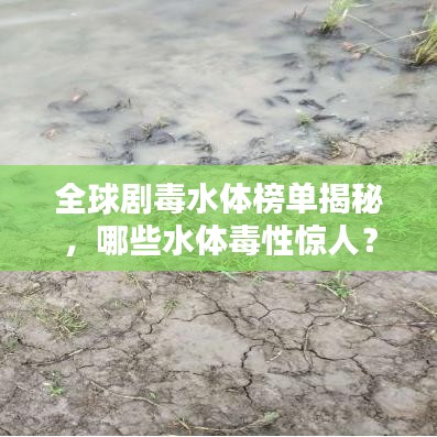 全球劇毒水體榜單揭秘，哪些水體毒性驚人？