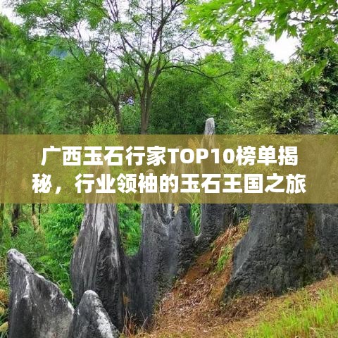 廣西玉石行家TOP10榜單揭秘，行業(yè)領袖的玉石王國之旅