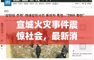 宣城火災(zāi)事件震驚社會(huì)，最新消息及關(guān)注焦點(diǎn)