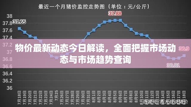 物價最新動態(tài)今日解讀，全面把握市場動態(tài)與市場趨勢查詢