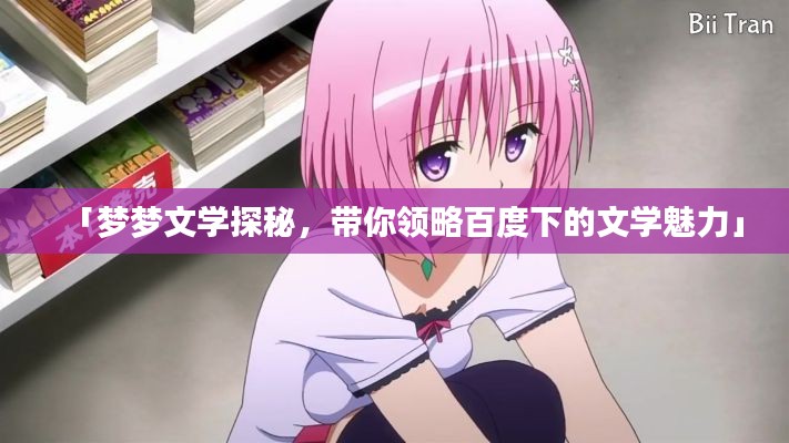 「夢(mèng)夢(mèng)文學(xué)探秘，帶你領(lǐng)略百度下的文學(xué)魅力」