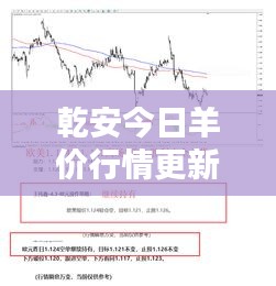 乾安今日羊價行情更新，最新消息與走勢分析
