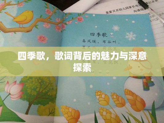 四季歌，歌詞背后的魅力與深意探索