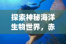 探索神秘海洋生物世界，赤甲紅螃蟹最新視頻集錦！