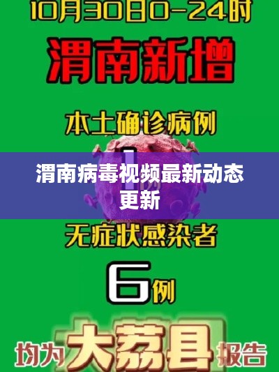 渭南病毒視頻最新動態(tài)更新