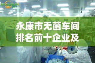 永康市無菌車間排名前十企業(yè)及其卓越表現(xiàn)亮點解讀