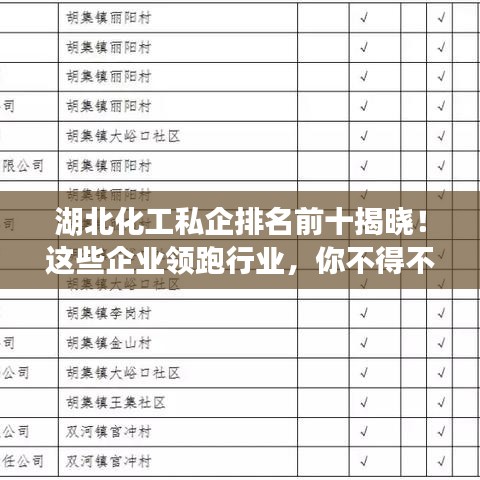 湖北化工私企排名前十揭曉！這些企業(yè)領(lǐng)跑行業(yè)，你不得不看！