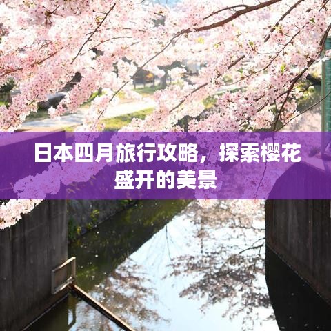 日本四月旅行攻略，探索櫻花盛開的美景