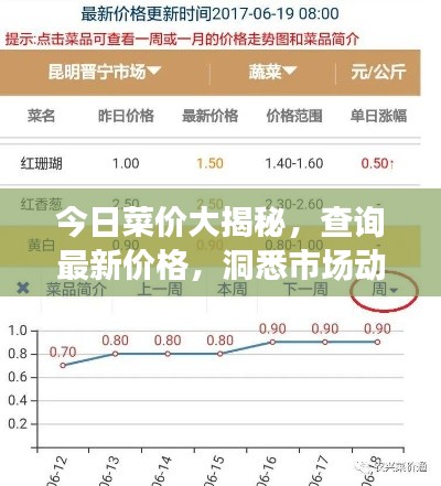 今日菜價(jià)大揭秘，查詢最新價(jià)格，洞悉市場(chǎng)動(dòng)態(tài)！