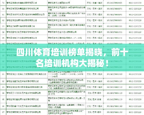 四川體育培訓(xùn)榜單揭曉，前十名培訓(xùn)機(jī)構(gòu)大揭秘！