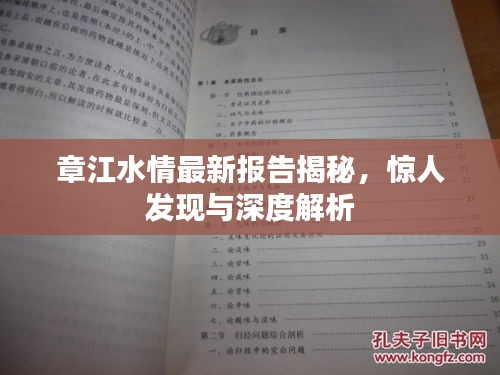 章江水情最新報告揭秘，驚人發(fā)現(xiàn)與深度解析