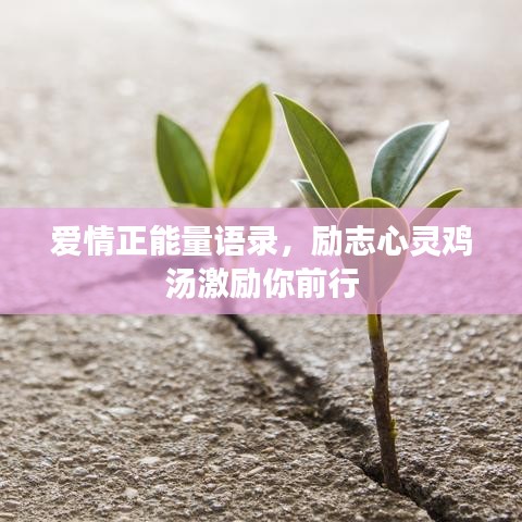愛情正能量語錄，勵志心靈雞湯激勵你前行