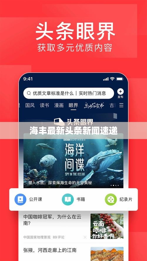 海豐最新頭條新聞速遞