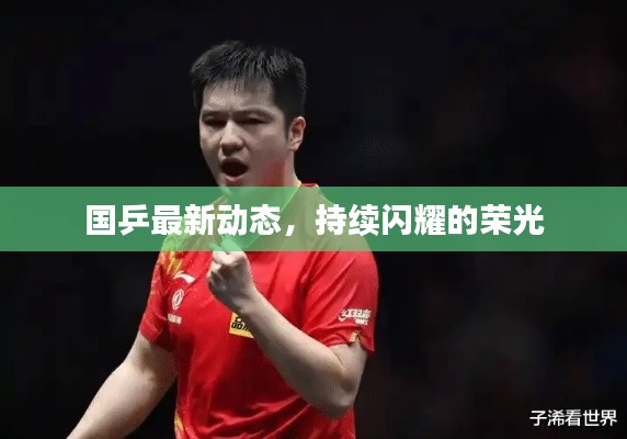 國(guó)乒最新動(dòng)態(tài)，持續(xù)閃耀的榮光