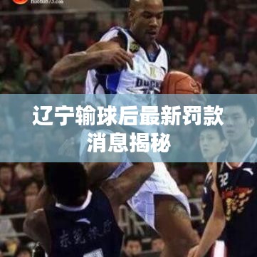 遼寧輸球后最新罰款消息揭秘