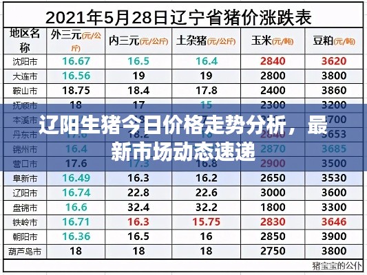 遼陽生豬今日價格走勢分析，最新市場動態(tài)速遞