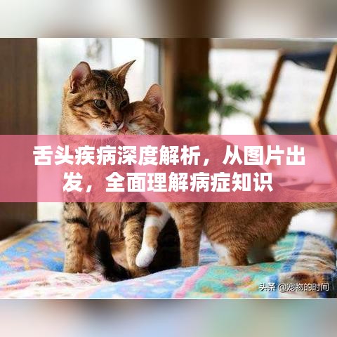 舌頭疾病深度解析，從圖片出發(fā)，全面理解病癥知識(shí)