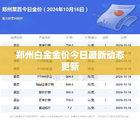 獨學(xué)寡聞 第2頁