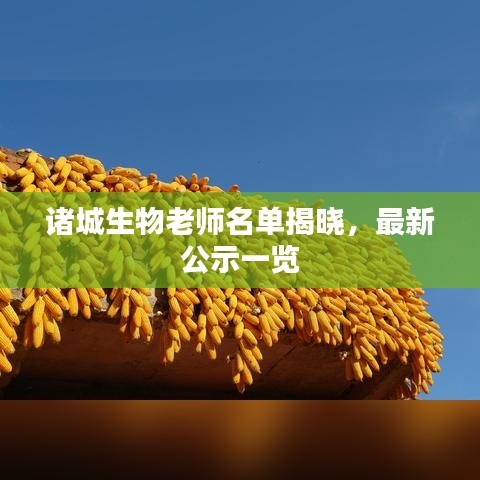 諸城生物老師名單揭曉，最新公示一覽