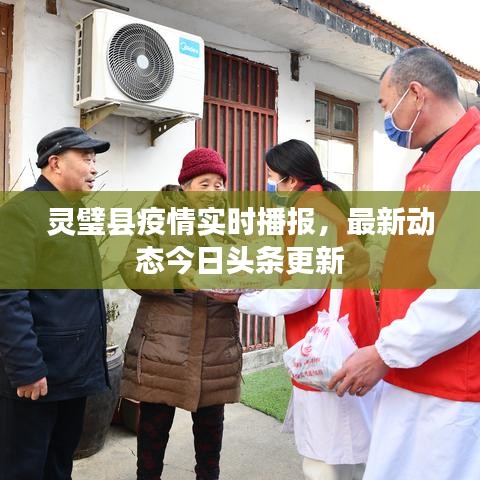 靈璧縣疫情實時播報，最新動態(tài)今日頭條更新
