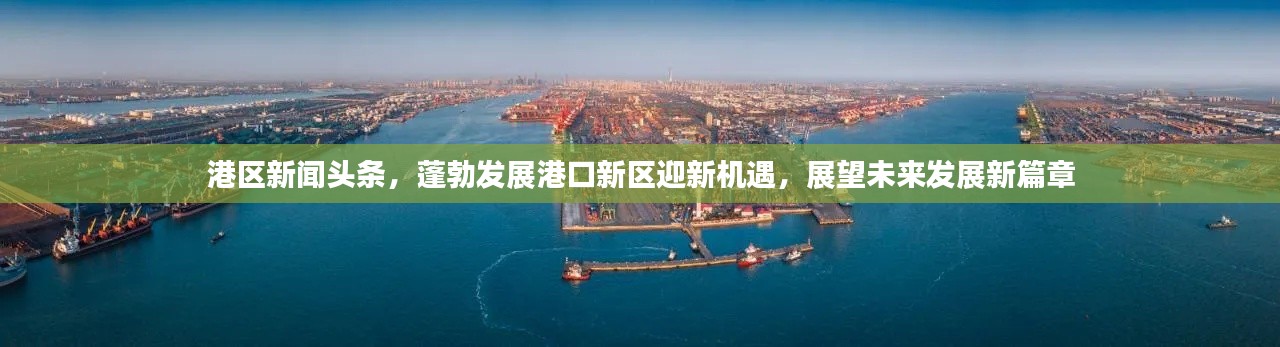 港區(qū)新聞頭條，蓬勃發(fā)展港口新區(qū)迎新機(jī)遇，展望未來發(fā)展新篇章