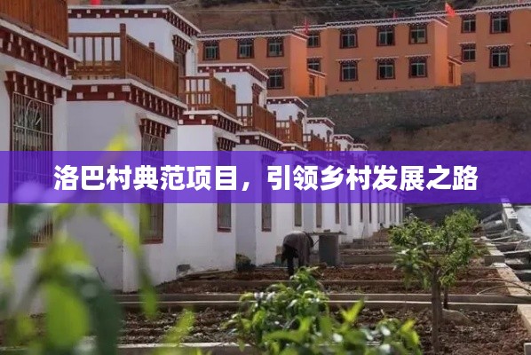 洛巴村典范項(xiàng)目，引領(lǐng)鄉(xiāng)村發(fā)展之路