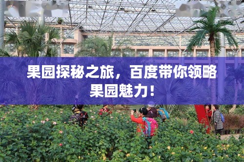 果園探秘之旅，百度帶你領(lǐng)略果園魅力！