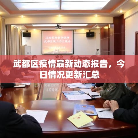 武都區(qū)疫情最新動態(tài)報告，今日情況更新匯總