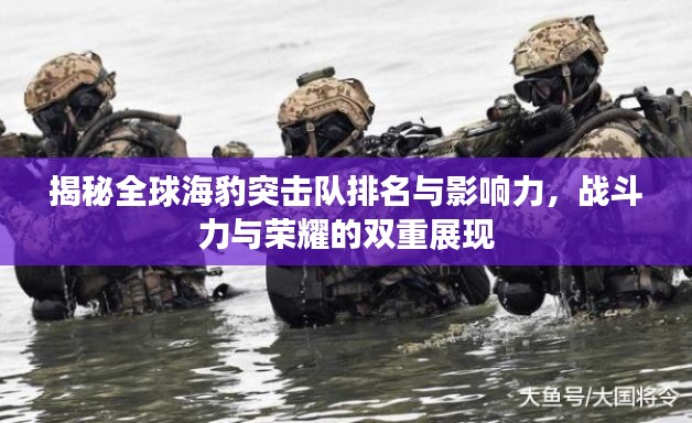 揭秘全球海豹突擊隊(duì)排名與影響力，戰(zhàn)斗力與榮耀的雙重展現(xiàn)