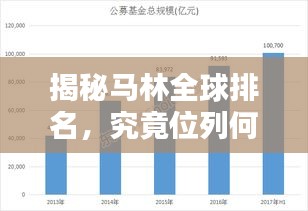 揭秘馬林全球排名，究竟位列何方？