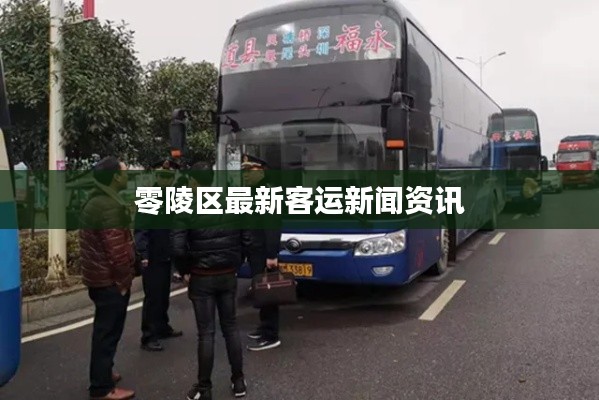 零陵區(qū)最新客運(yùn)新聞資訊
