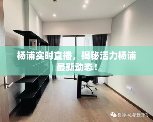 楊浦實(shí)時(shí)直播，揭秘活力楊浦最新動(dòng)態(tài)！