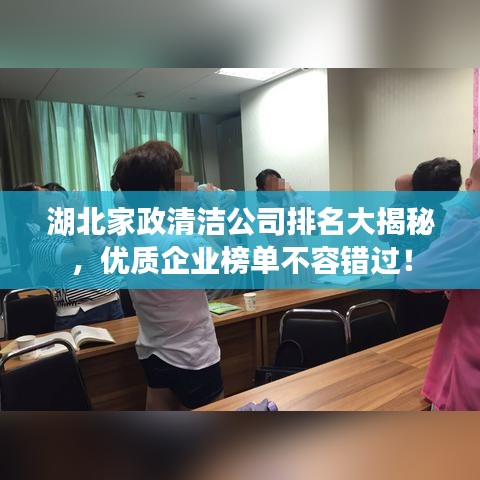 湖北家政清潔公司排名大揭秘，優(yōu)質(zhì)企業(yè)榜單不容錯(cuò)過！