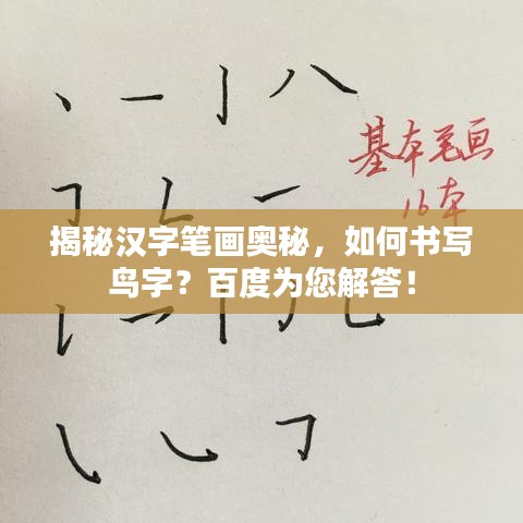 揭秘漢字筆畫奧秘，如何書寫鳥字？百度為您解答！
