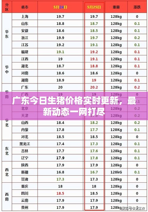 廣東今日生豬價格實(shí)時更新，最新動態(tài)一網(wǎng)打盡