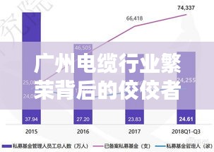 廣州電纜行業(yè)繁榮背后的佼佼者，揭秘排名前十廠家的優(yōu)勢與實(shí)力