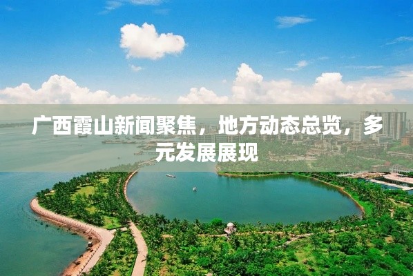 廣西霞山新聞聚焦，地方動(dòng)態(tài)總覽，多元發(fā)展展現(xiàn)