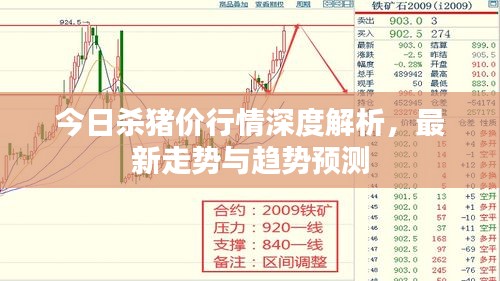 今日殺豬價(jià)行情深度解析，最新走勢(shì)與趨勢(shì)預(yù)測(cè)