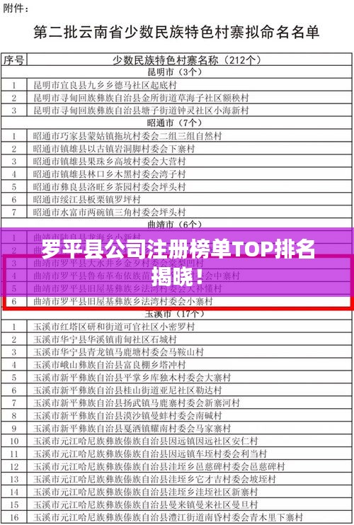 羅平縣公司注冊榜單TOP排名揭曉！